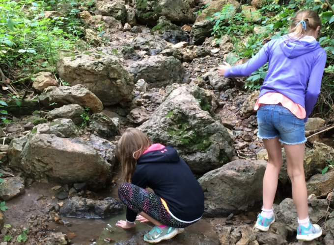 Kids in a stream of water exploring