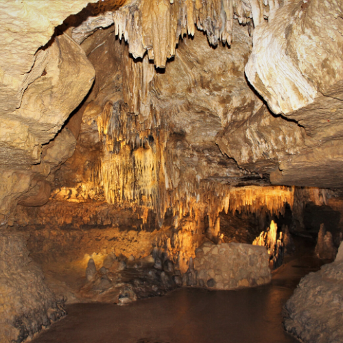 Cathedral Room in Cave of the Mounds