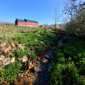 Landscape Photo of Barn and creek flowing across the photo
