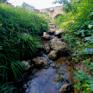 Chert Creek under a bridge