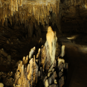 Polly the Parrot formation in a cavern in Wisconsin