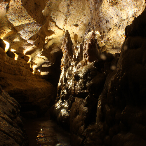 Row of Stalagmites in one of the coolest places in Wisconsin