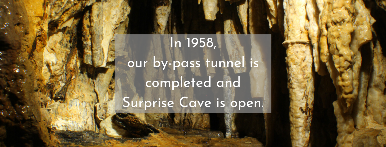 In 1958, our by-pass tunnel is completed and Surprise Cave is open