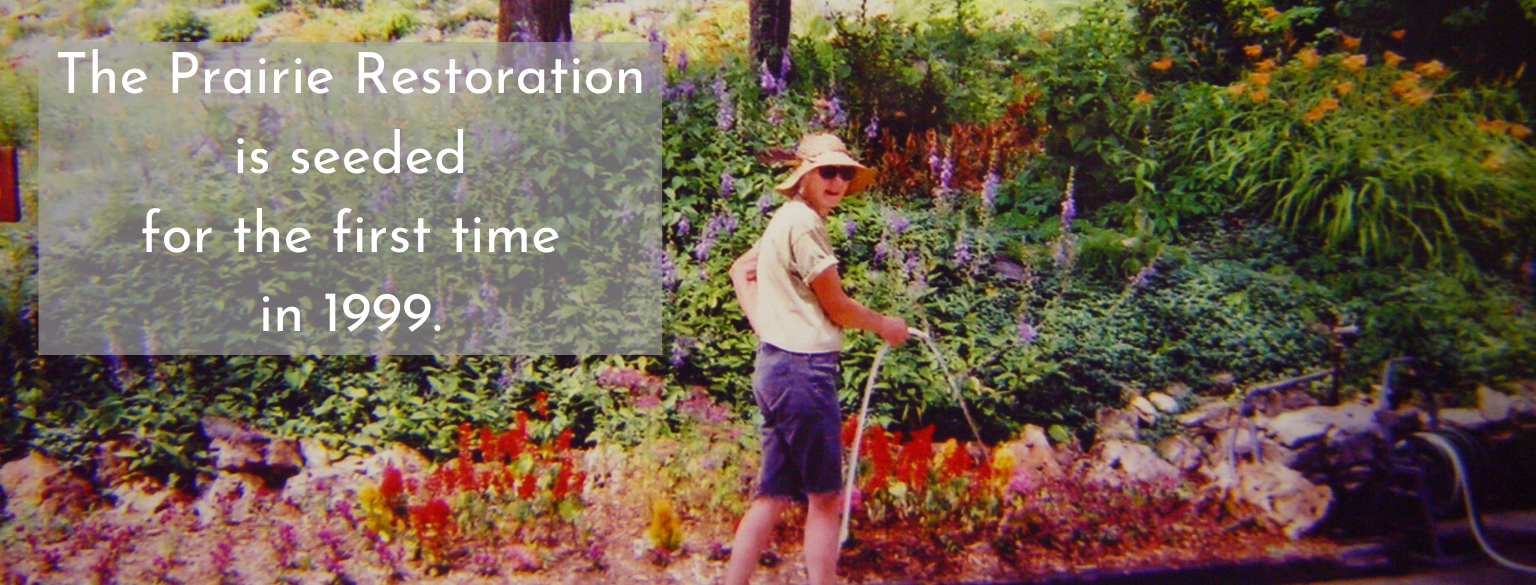 The Prairie Restoration is seeded for the first time in 1999