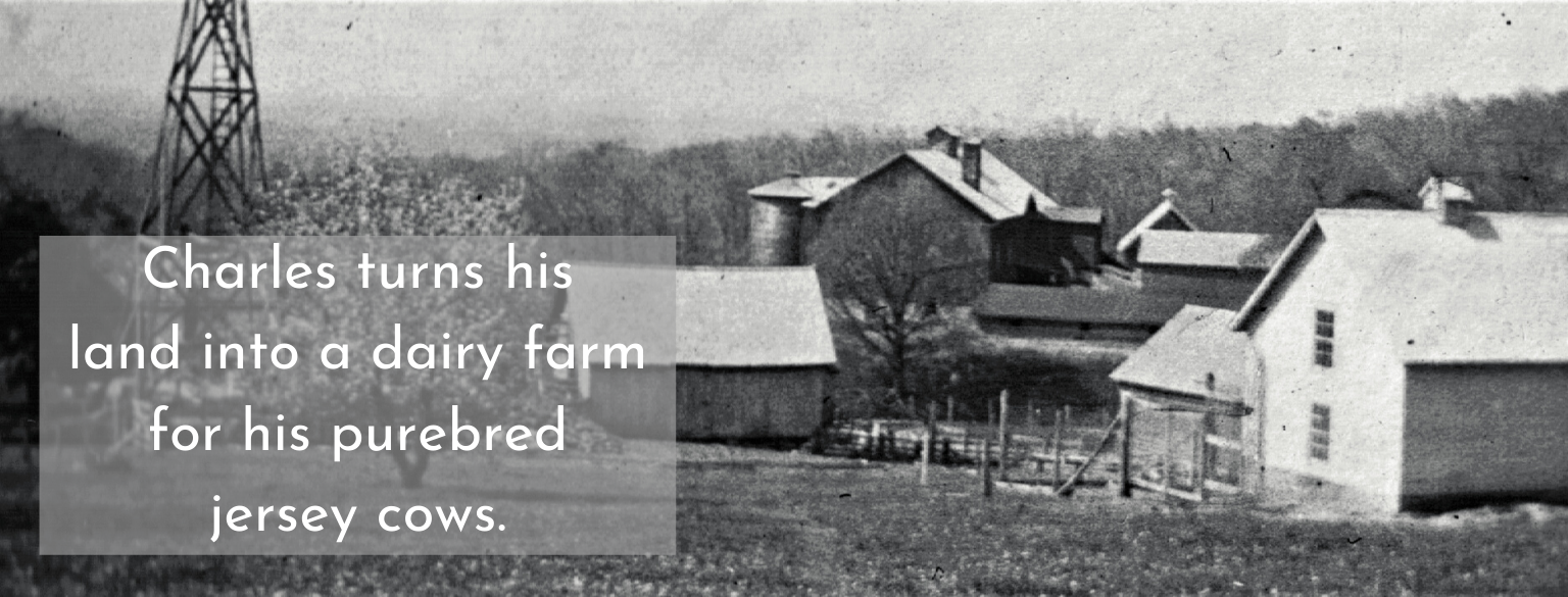 Charled turns his land into a dairy farm for his purebred jersey cows