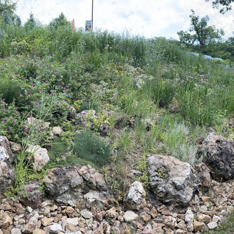 Rain Gardens at Cave of the Mounds