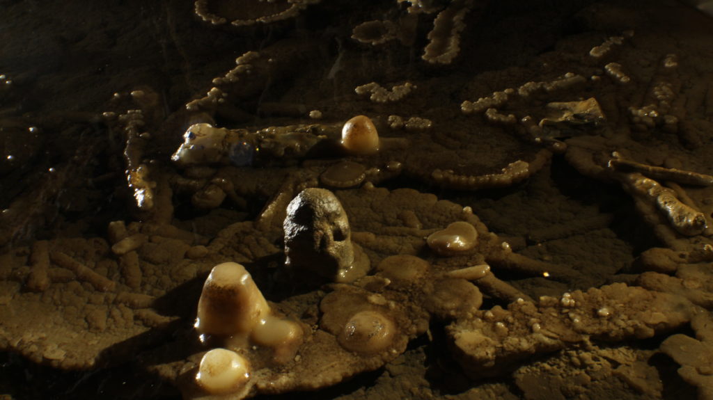Cave Raft formation in a pond of water at cave of the Mounds