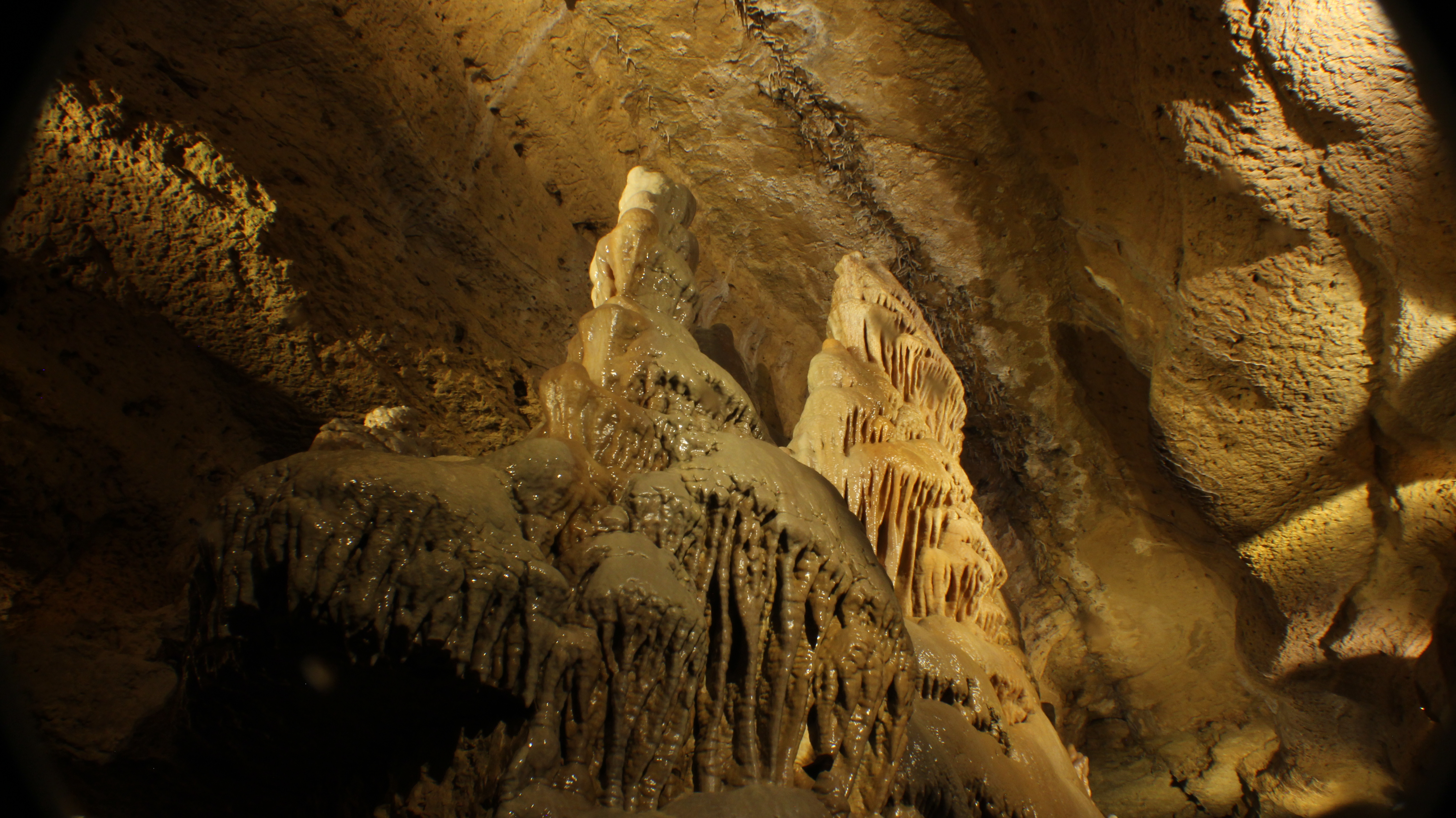 South Cave Stalagmite