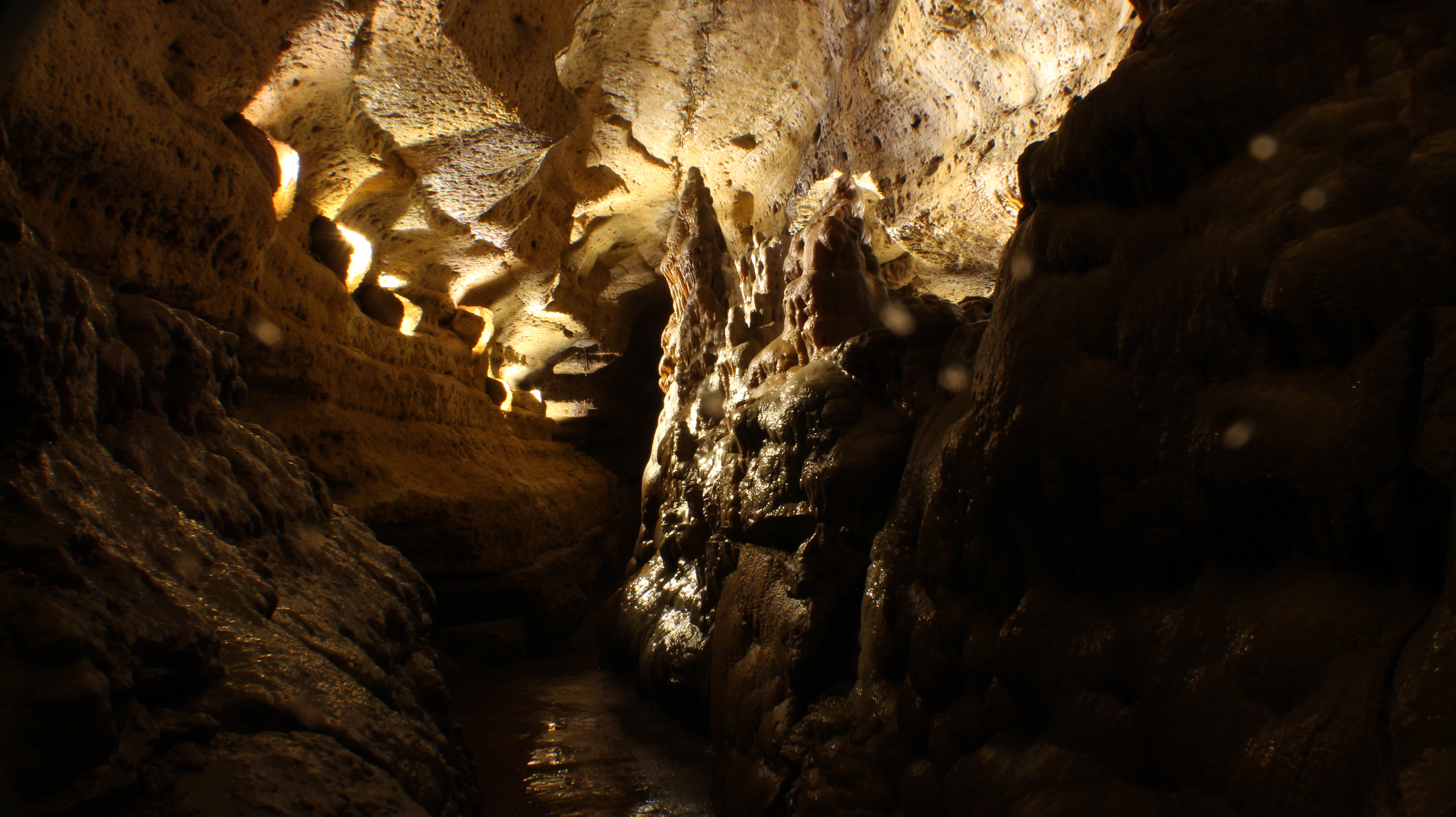 Row of Stalagmites