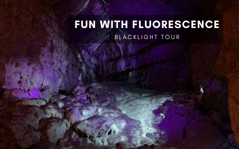 Fun with fluorescence black light tour one of the many Fun Things to do