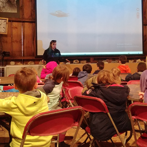 Photo of educator in barn teaching a field trip