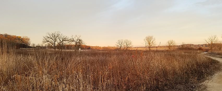 Cherokee Marsh Landscape Photo of Marsh