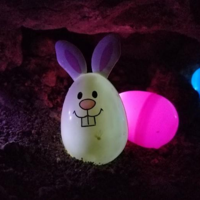 Photo of Bunny Egg from our Eggstavaganza