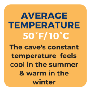 Our Average Temperature inside the cave is 50 degrees Fahrenheit or 10 degrees Celsius. The cave's constant temperature feels cool in the summer and warm in the winter.