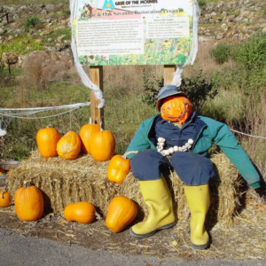 Photo of Cave of the Mounds Holloween Event with a man filled with hay and a pumpkin head