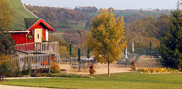 Botham Vineyards Landscape Photo