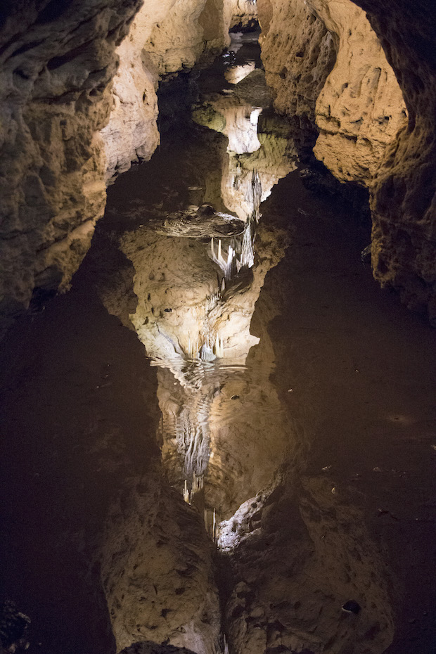 Photo of our Dream River's reflection at this must-see place in Wisconsin​. This river show the importance of water to our cave.