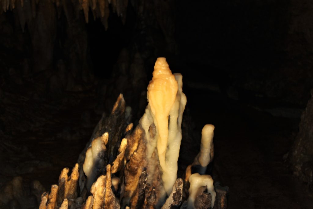 Photo of our mascot and stalagmite that looks like Polly the Parrot