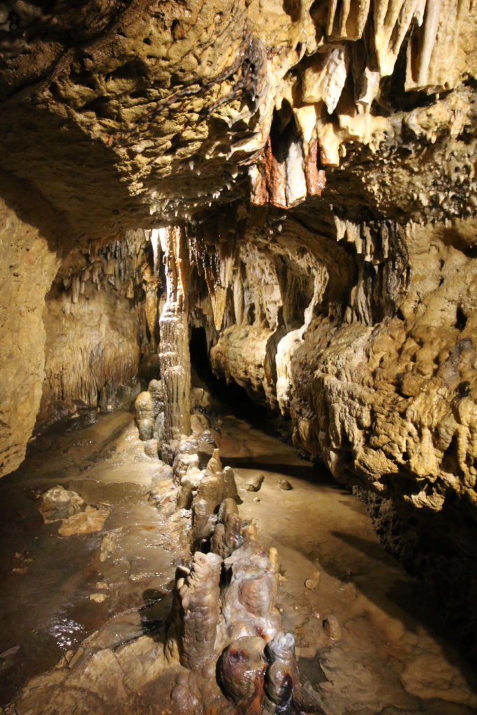 Photo of our most notable Column at Cave of the Mounds a midwest cave