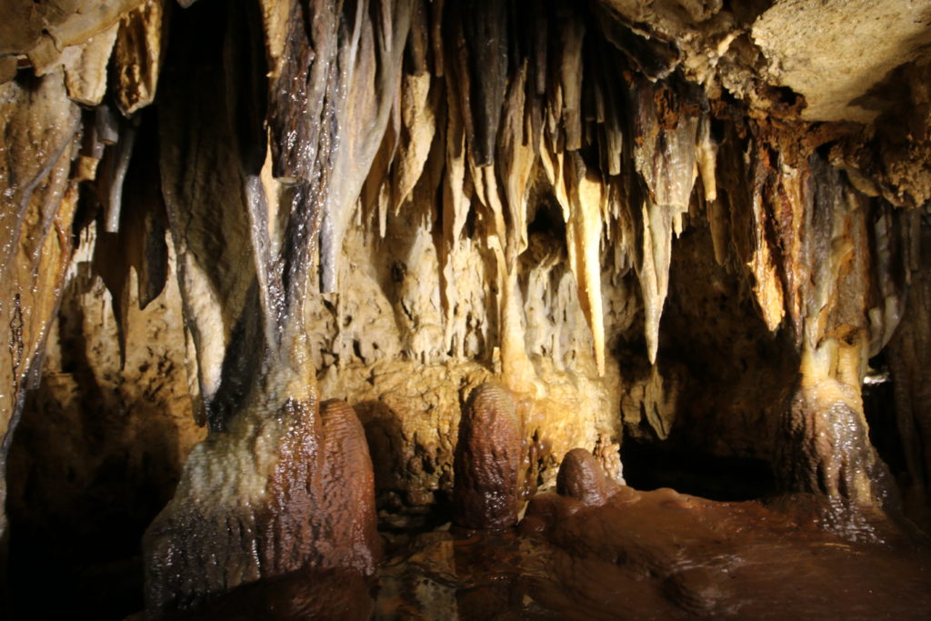 Photo of our Beauty Rooms with beehive stalagmites and tons of color in our secret garden at this must-see place in Wisconsin​