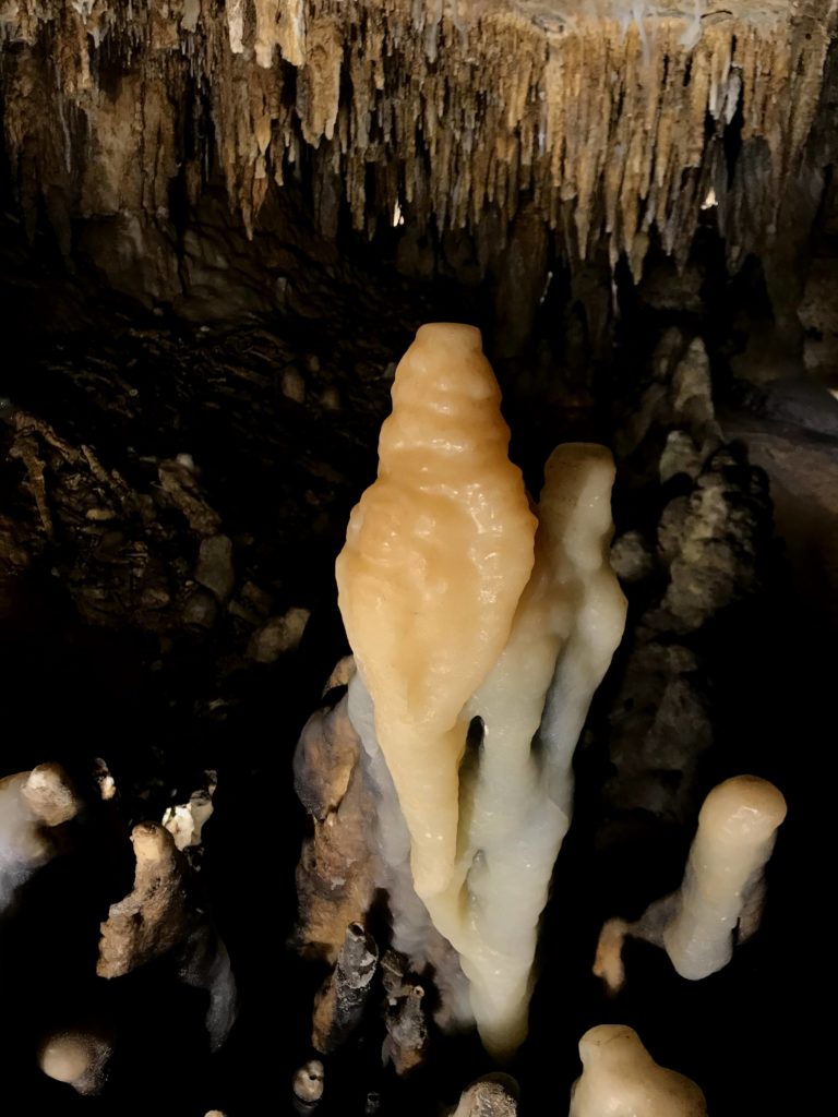 Photo of our stalagmite called Polly the Parrot at this must-see place in Wisconsin​