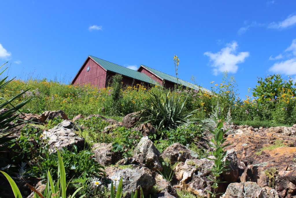 Photo of Chert boulders in the prairie with Barn in the background at a must-see place in Wisconsin​