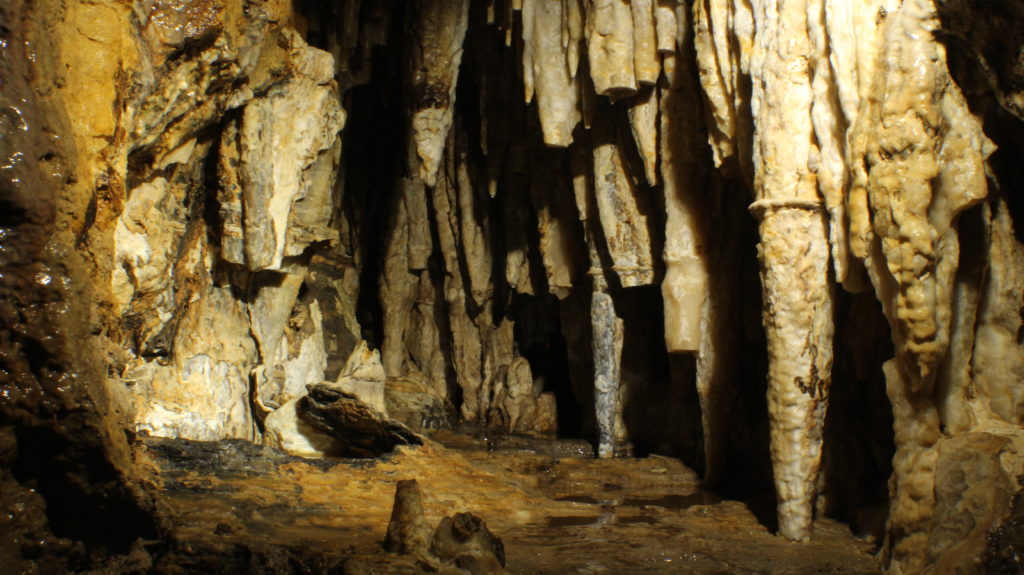 Photo of Surprise Cave Fun Facts: this cave was a surprise to find