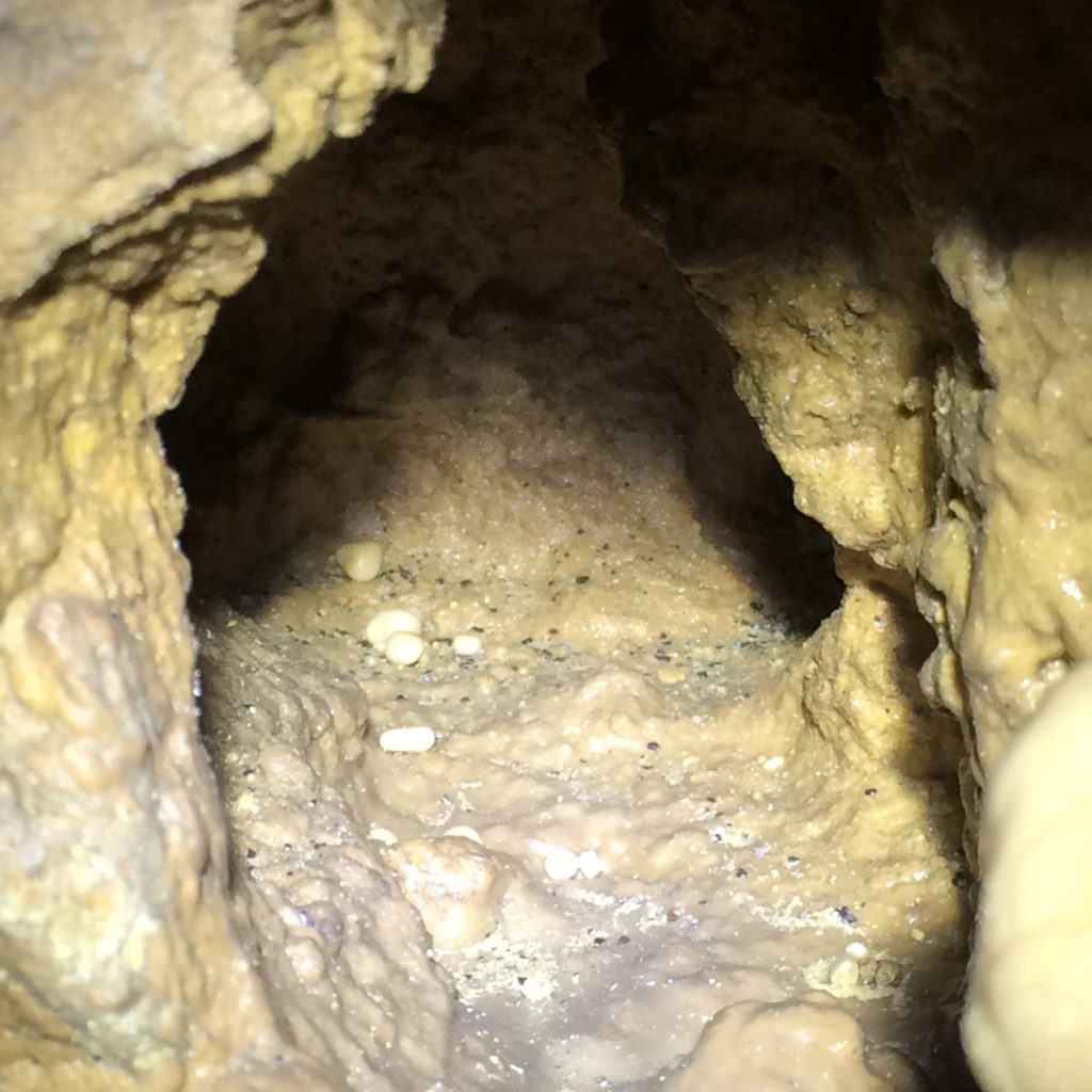 Cave Pearls in a small hole