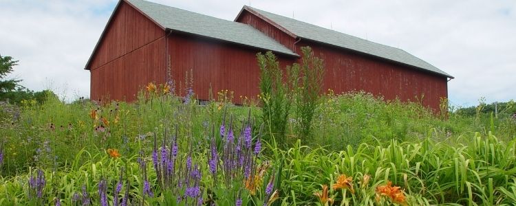 Butterfly Gardens at Cave of the Mounds