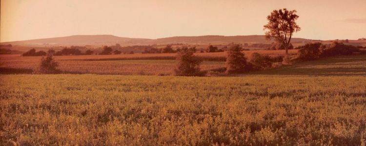 Blue Mounds Wisconsin 1970 at Cave of the Mounds