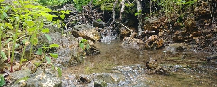 Camping Near Cave of the Mounds