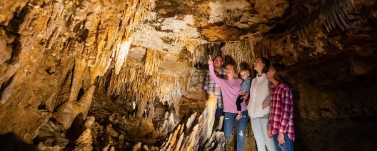 Family observing formation speleothem in Cave of the Mounds a place to visit in wisconsin