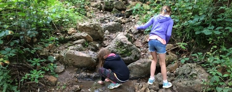 Kids playing in Nature