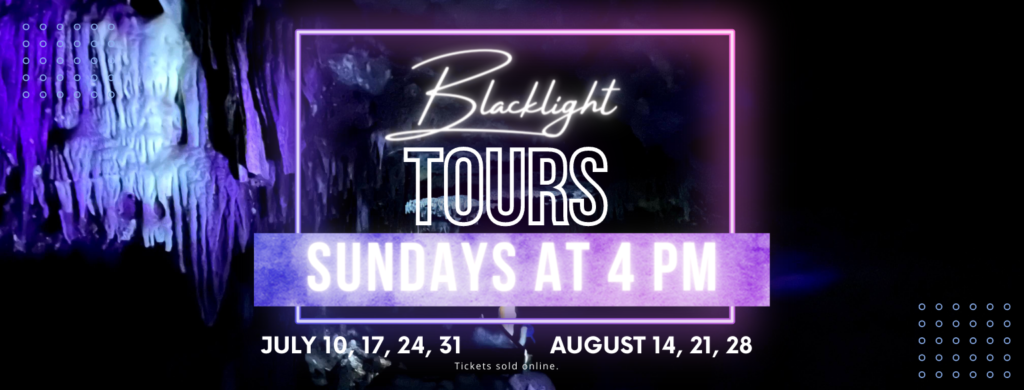 Blacklight Tours at 4 PM on select Sundays