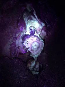 Inside of a formation glowing