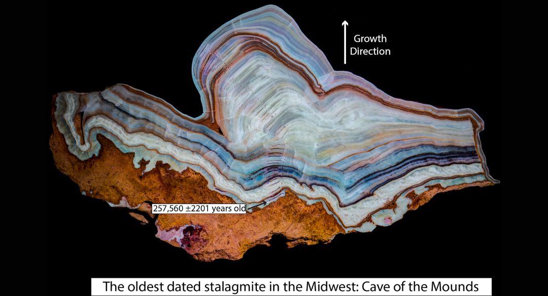 Oldest Speleothem cross-section revealing layers of minerals