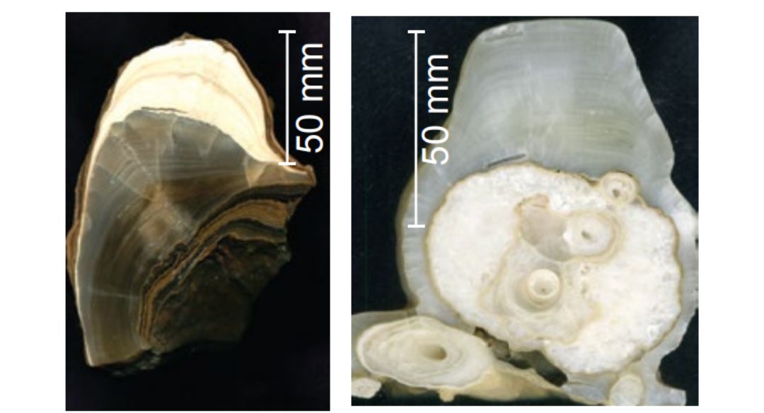 Cross sections of the cave formations