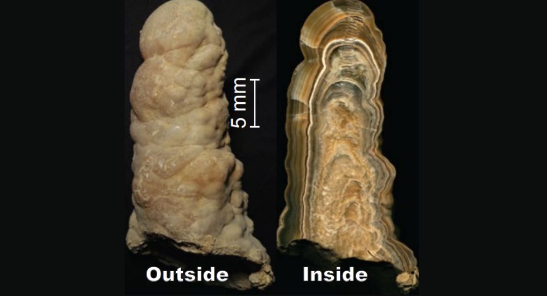 The insidde versus the outside comparison of a cave formation