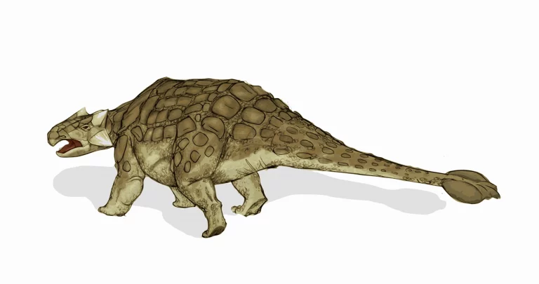 Picture of spiky and bumpy dinosaur called the ankylosaurs in camouflage