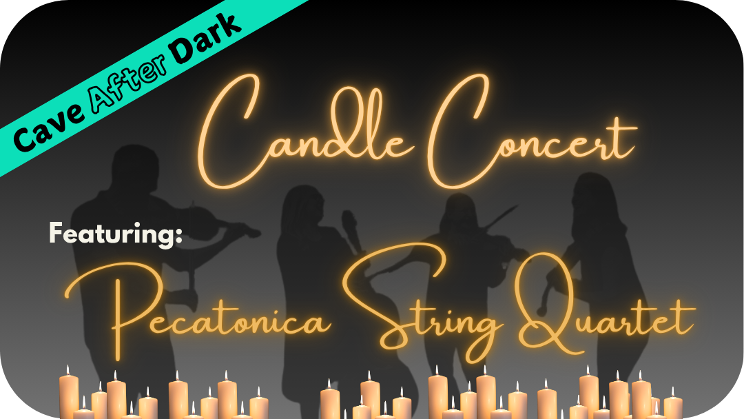 Candle Concert