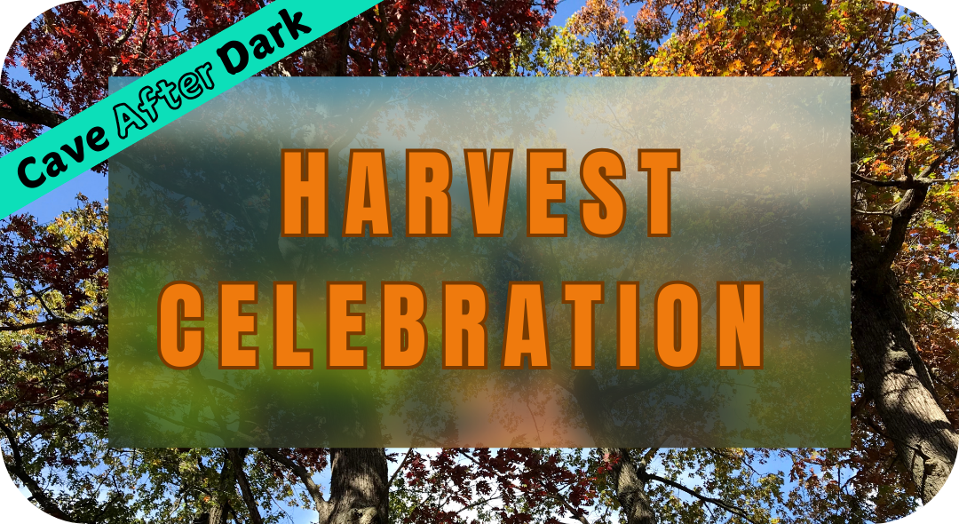 Colourful autumn trees overlaid with orange text stating "harvest celebration". September 27th 7-9pm join us for a cave after dark event