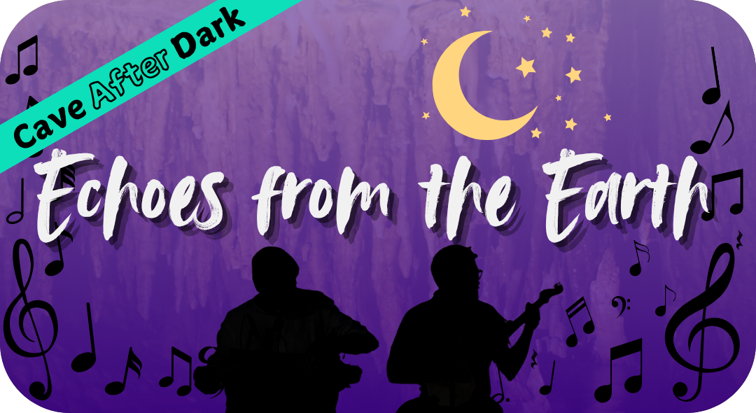 Echoes from the Earth