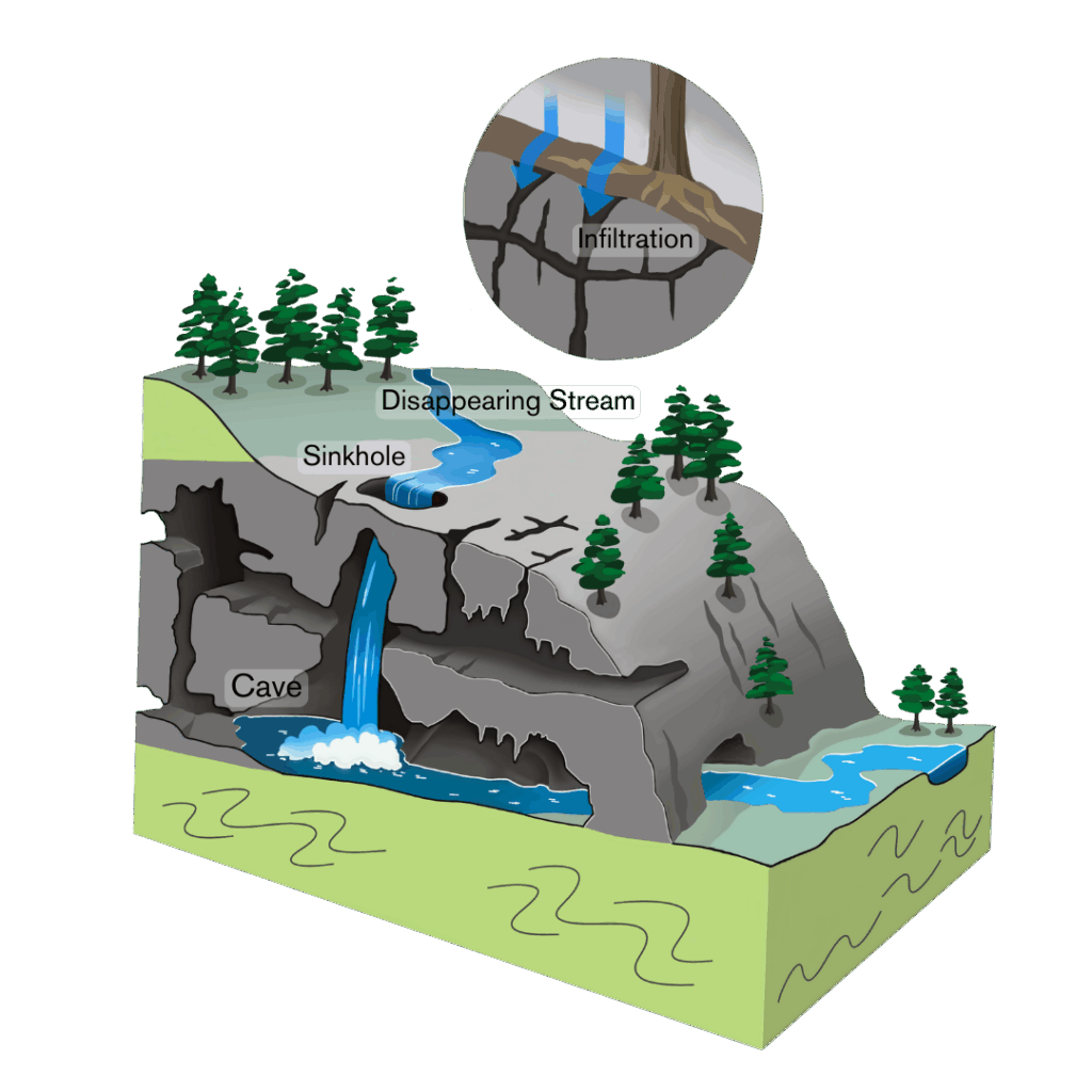 A diagram of karst topography. Water is seen infiltrating into the ground. A stream flows down into a sinkhole which leads into a cave.