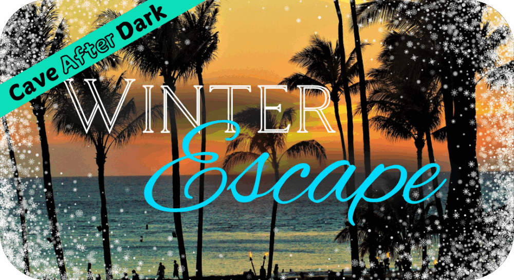 A warm beach scene is overlain with ice and frost. Winter escape January 17 2026 at this perfect date night idea event near Madison