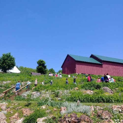 Photo of class leading to barn