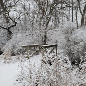 Snow covered bridge along the Karst Trail Path