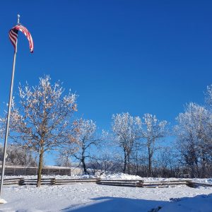 Flag waving in the Winter Wonderland