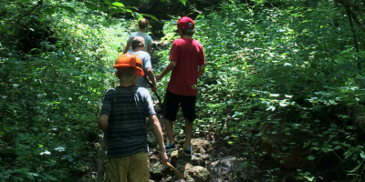 Kids hiking in the woods