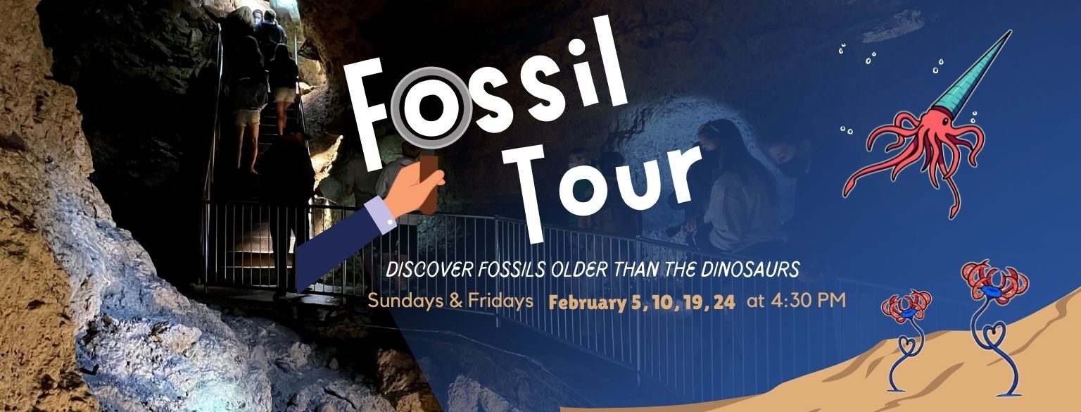 Fossil Tour. Discover Fossils Older than the Dinosaurs. February 5, 10, 19, 24, 2023 at 4:30 PM