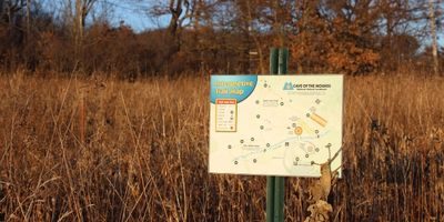 Prairie Grasses at Cave of the Mounds